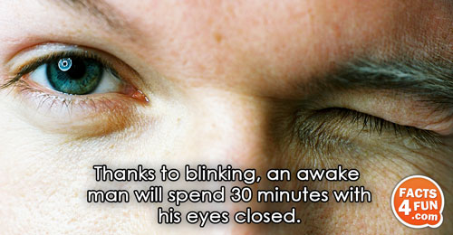 
Thanks to blinking, an awake man will spend 30 minutes with his eyes closed.