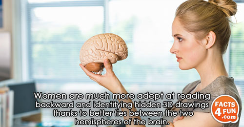Women are much more adept at reading backward and identifying hidden 3D drawings thanks to better