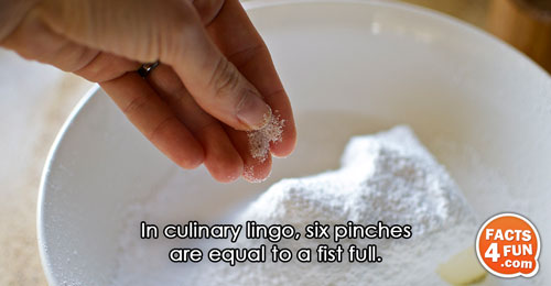 In culinary lingo, six pinches are equal to a fist full.