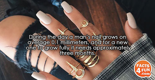 
During the day a man’s nail grows on average 0.1 millimeters, and for a new one