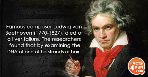 
Famous composer Ludwig van Beethoven (1770-1827), died of a liver failure. The researchers found that by
