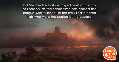 In 1666, the fire that destroyed most of the city of London, at the same time
