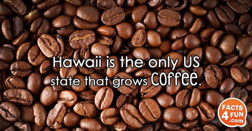 Hawaii is the only US state that grows coffee.