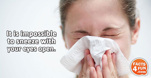 It is impossible to sneeze with your eyes open.