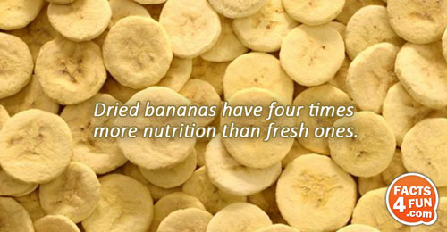 Dried bananas have four times more nutrition than fresh ones.