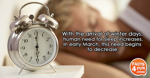 
With the arrival of winter days, human need for sleep increases. In early March, this need