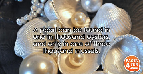 A pearl can be found in one of a thousand oysters, and only in one of