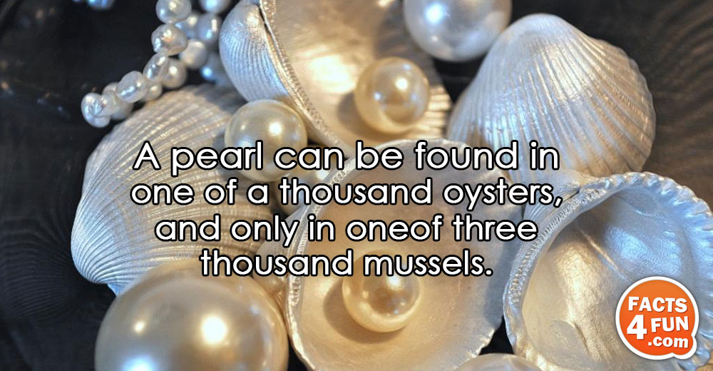 A pearl can be found in one of a thousand oysters, and only in one of