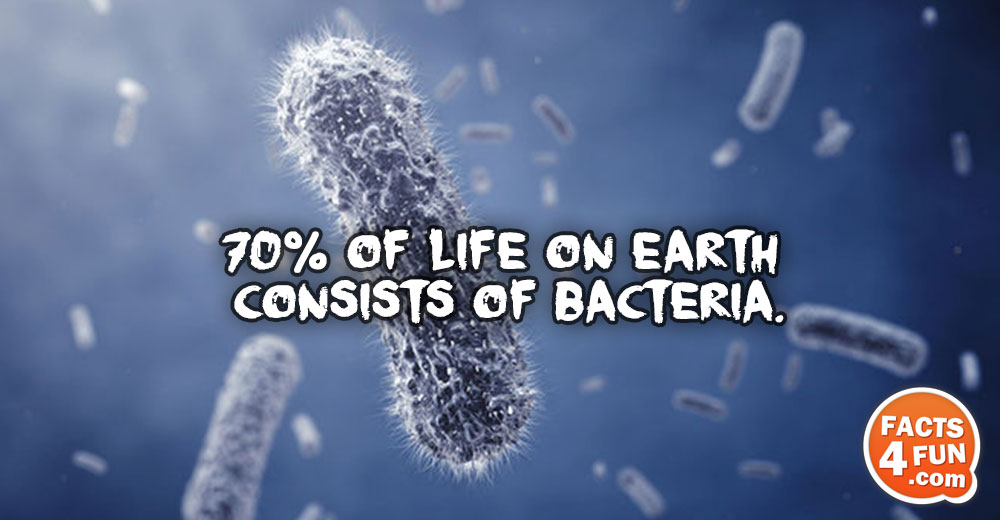 
70% of life on Earth consists of bacteria.