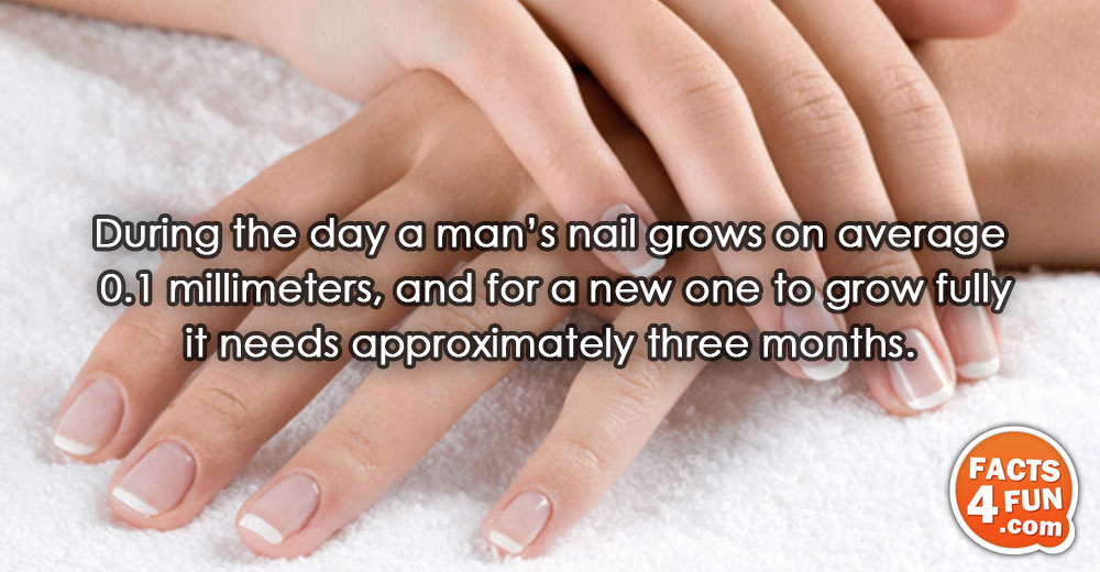 
During the day a man’s nail grows on average 0.1 millimeters, and for a new one
