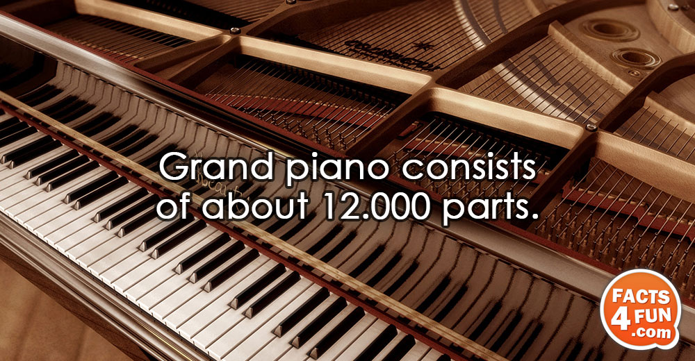 
Grand piano consists of about 12.000 parts.