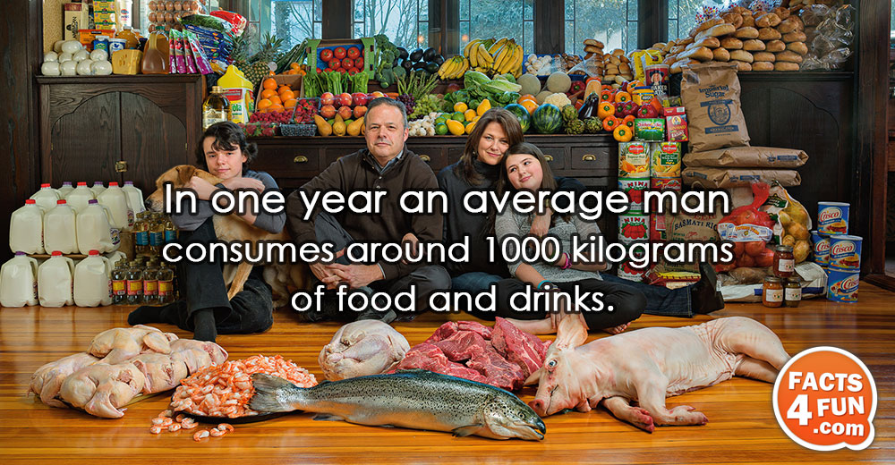 
In one year an average man consumes around 1000 kilograms of food and drinks.