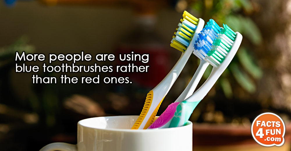 
More people are using blue toothbrushes rather than the red ones.