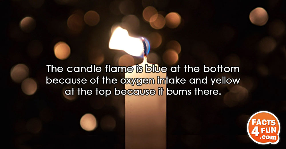 
The candle flame is blue at the bottom because of the oxygen intake and yellow at