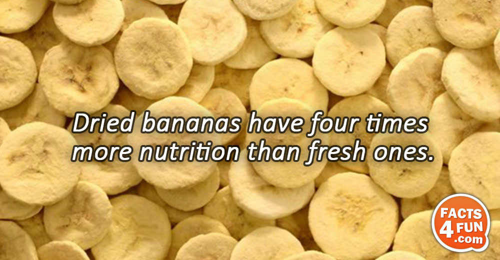 Dried bananas have four times more nutrition than fresh ones.