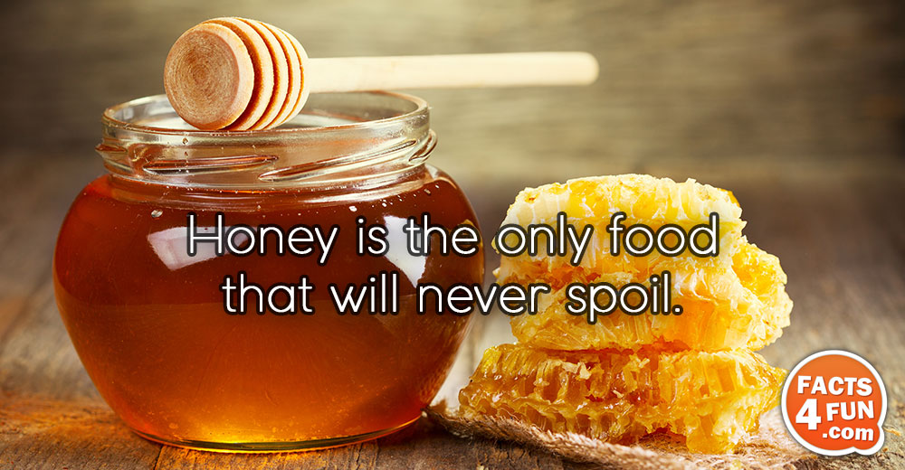 Honey is the only food that will never spoil. 