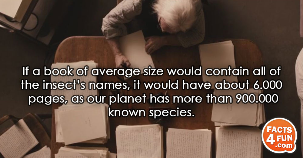 If a book of average size would contain all of the insect’s names, it would have