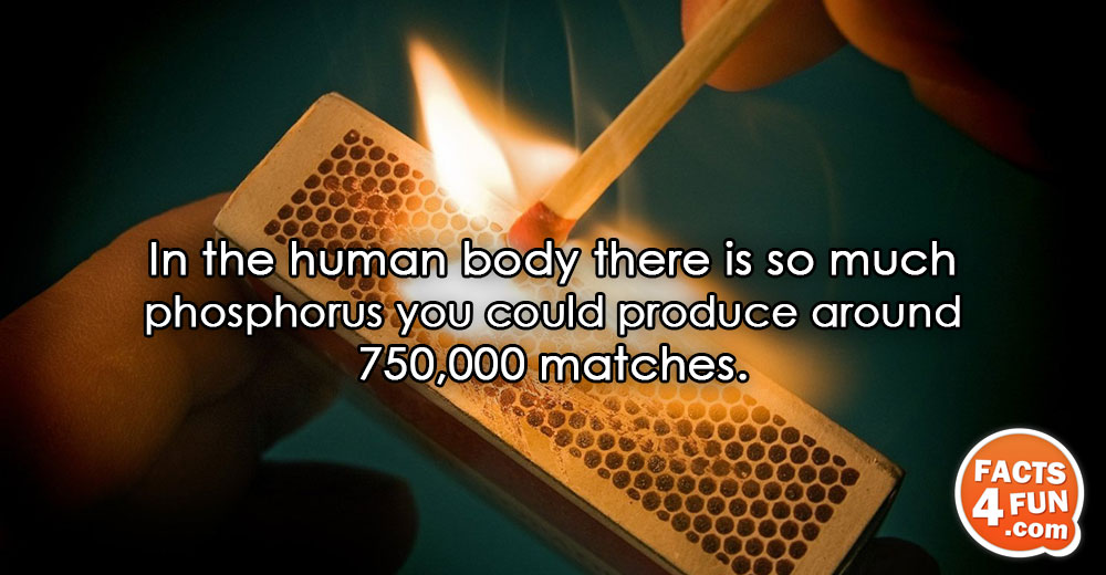 In the human body there is so much phosphorus you could produce around 750,000 matches.