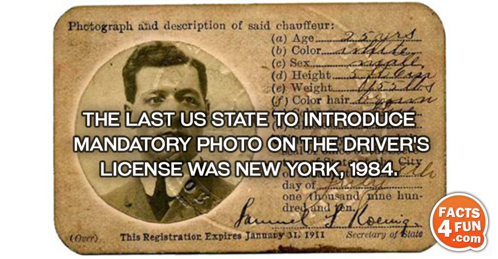 The last US state to introduce mandatory photo on the driver's license was New York, 1984.